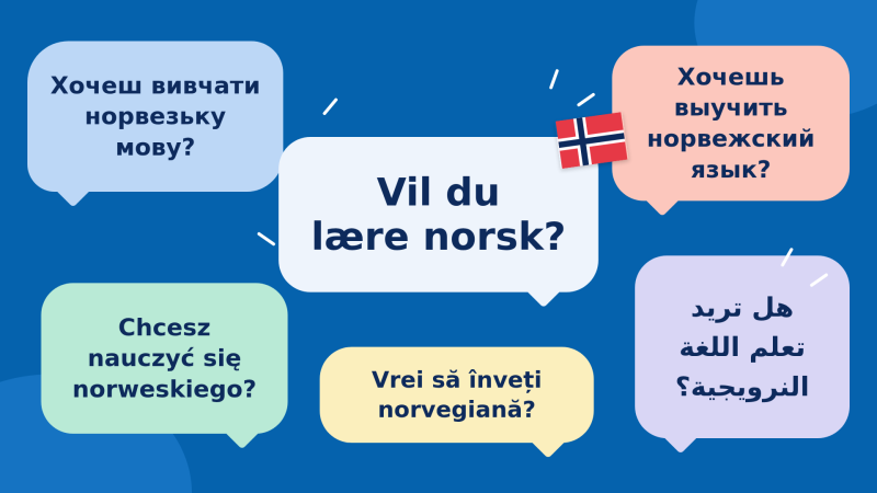Lenke til artikkel: Norskopplæring og kurs ved Nesna voksenopplæring